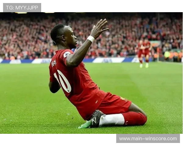 非洲杯决赛收视率创新高，全球超5亿人观看